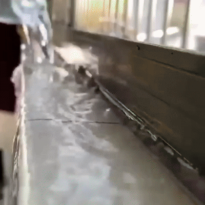 Sellador impermeabilizante Alta Durabilidad Pack x3